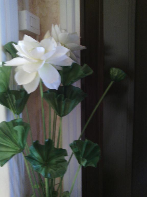 Ostiense Guest House Рим Екстериор снимка